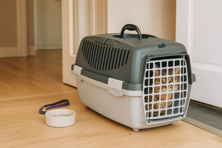 ZOLUX Transporter dla psa, kota GULLIVER 1 plastikowe drzwi kol.szary