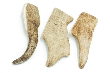 4DOGS Gryzak z poroża daniela S