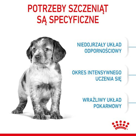 Royal Canin Medium Puppy karma sucha dla szczeniąt, od 2 do 12 miesiąca, ras średnich 1kg