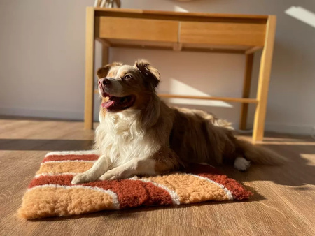 Zolux Dry bed posłanie izolujące dla psa wzór tęczy 75x95 cm