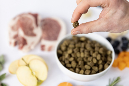 YDOLO Iberico - wieprzowina Iberico - karma półwilgotna dla psa (100g)