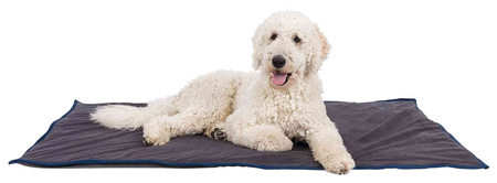 Koc Love your Pet, 150 × 100 cm, szary