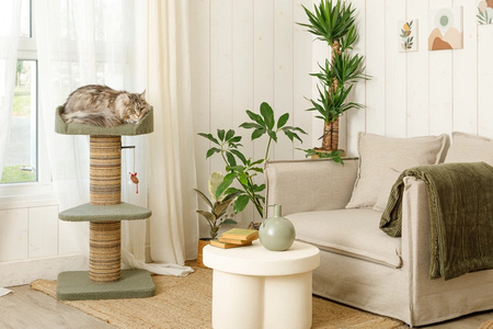 ZOLUX Drapak dla kota BOREAL 95 cm zielony