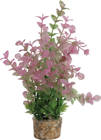 ZOLUX Ozdoba do akwarium roślina średnia z zestawu nr 2