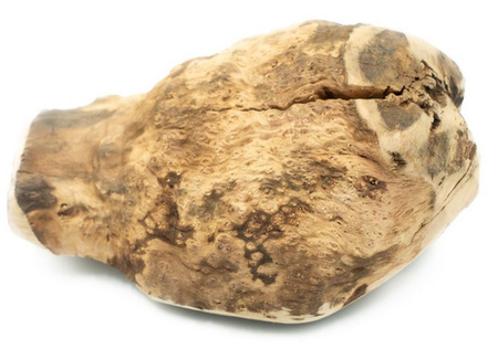 4DOGS GRYZAK DLA PSA Z KORZENIA WRZOŚCA XL