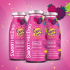 SmoothieDog Kaninchen Sweet Summer - smoothie dla psa królik z marchewką i owocami (250ml)