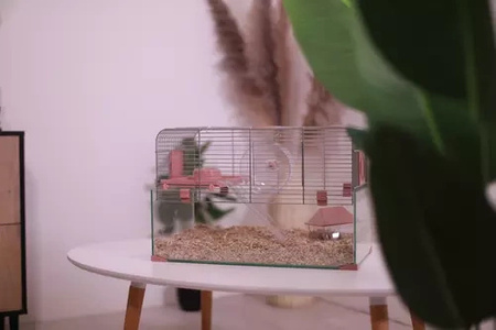 ZOLUX Klatka dla małych gryzoni Panas Colour 80 kol. różowy