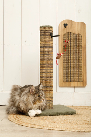 ZOLUX Drapak dla kota słupek BOREAL L 70 cm zielony