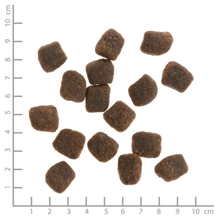 WILDES LAND DOG Soft Truthahn Lachs - indyk i łosoś - półwilgotna karma dla psa (5kg)