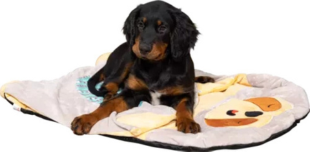 Zolux Zabawka pluszowa dla psa CHIQUITOS leniwiec kocyk 42,2x20,2x31,5 cm