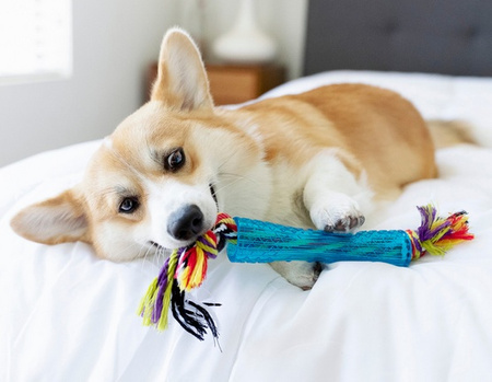 PETSTAGES ORKA RURKA Z SUPŁAMI PS220