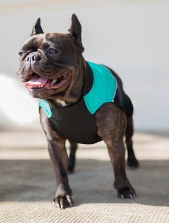 CHABA KUBRAK REGULOWANY MAGNIFIQUE `XS` LUXURY GREEN