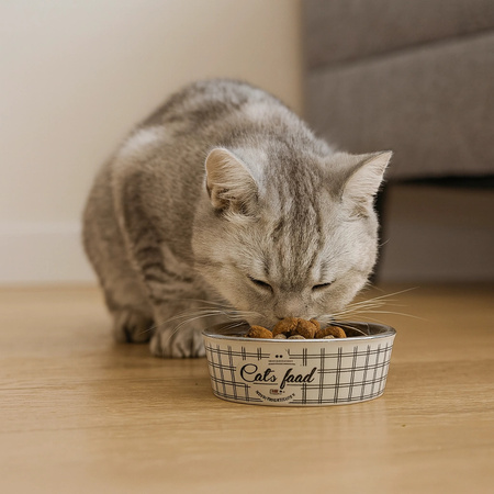 ZOLUX Miska antypoślizgowa dla kota FOOD kol. beżowy 400ML