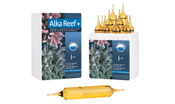 Prodibio Alka Reef + 10 ampułek utrzymuje zasadowość akwarium morskie