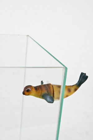 Zolux Ozdoba do akwarium z magnesami foka 1 3,3x12,5x17 cm