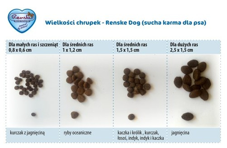 Renske Adult Dog fresh chicken - świeży kurczak dla dorosłych psów (bez zbóż) 12 kg