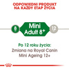 Royal Canin Mini Adult 8+ karma sucha dla psów starszych od 8 do 12 roku życia, ras małych 800g