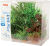 Zolux Ozdoba do akwarium rośliny PLANTKIT JALAYA model 2