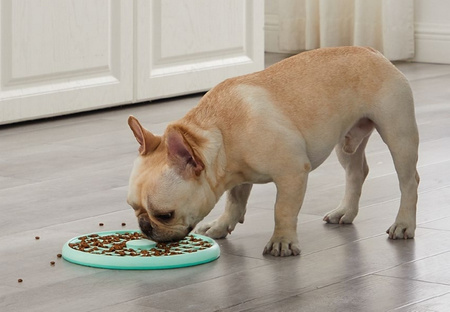 FUN FEEDER SLO TRAY MISKA - TACA 26,3x26,3x3,3 LG