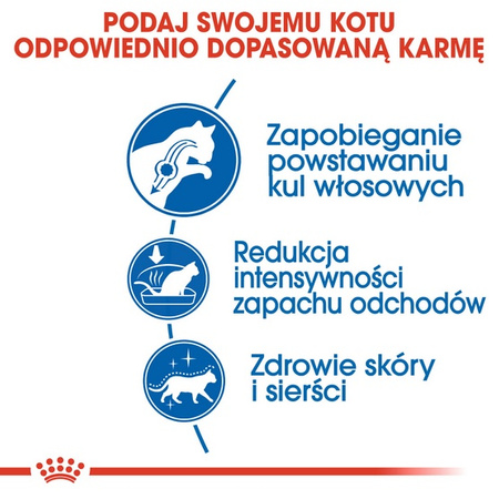 Royal Canin Indoor Long Hair karma sucha dla kotów dorosłych, długowłose, przebywających wyłącznie w domu 10kg