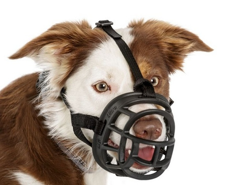 BASKERVILLE 5 CZARNY  wycofany