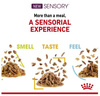 Royal Canin Sensory Smell w sosie karma mokra dla kotów dorosłych saszetka 85g