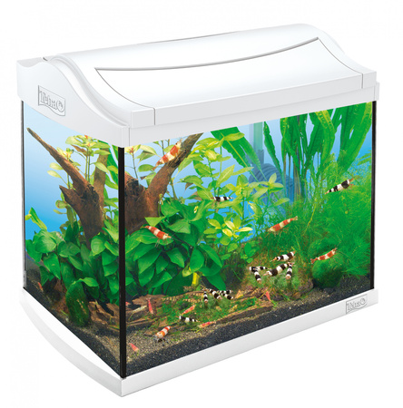 *- Tetra AquaArt Discovery Line Shrimps white 20 L-Zestaw do hodowli krewetek