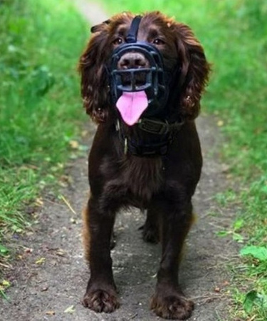 BASKERVILLE ULTRA 6 CZARNY NOWY