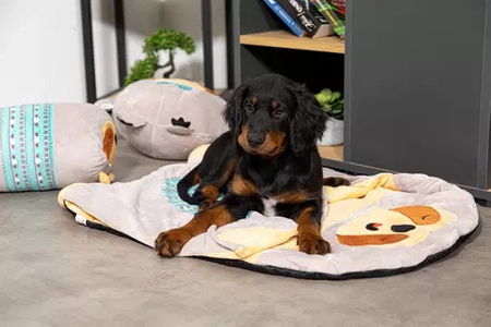 Zolux Zabawka pluszowa dla psa CHIQUITOS leniwiec ze sznurkiem 12x7,7x22,5