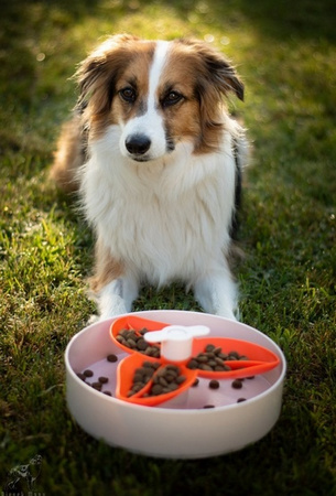 PDH SPIN BOUGAINVILLEA ORANGE  MISKA INTERAKT.