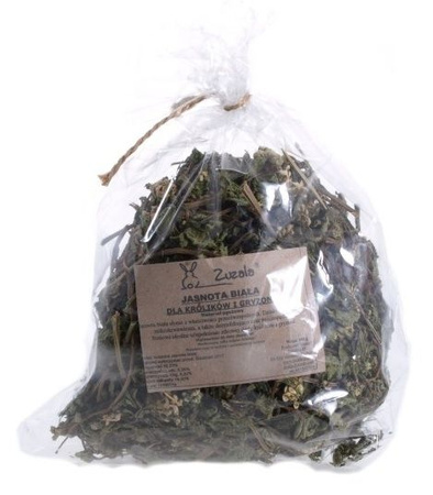 ZUZALA  JASNOTA BIAŁA