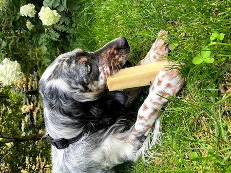 ZOLUX Przysmak naturalny dla psa Ser himalajski Giant 151 g