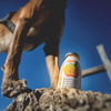 SmoothieDog Immunio boost - smoothie dla psa wspierające układ odpornościowy (250ml)