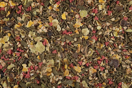 Zolux Pokarm mieszanka dla świnek morskich NUTRIMEAL 3 2,5 kg