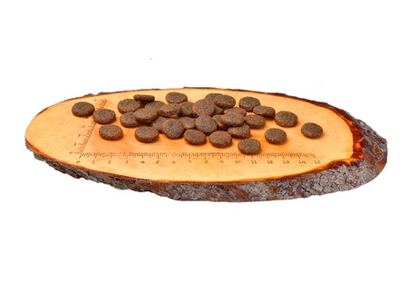 Carnilove Dog Salmon & Turkey Large Adult - łosoś i indyk 1,5kg