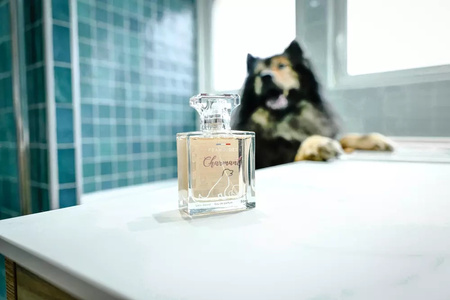 FRANCODEX Perfumy dla psa, bez alkoholu Charmant drzewne 50 ml