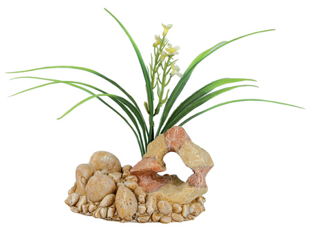 Zolux Ozdoba do akwarium skała z rośliną T1