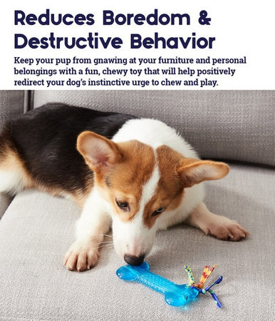 PETSTAGES ORKA MINI KOSTECZKA PS221