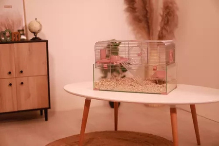 ZOLUX Klatka dla małych gryzoni Panas Colour 50 kol. różowy