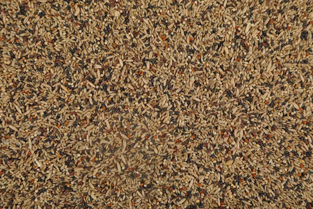 Zolux Pokarm mieszanka dla kanarków NUTRIMEAL 3 2,5 kg