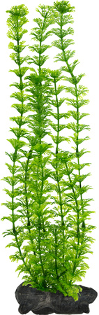 TETRA DecoArt Plant L Ambulia, sztuczna roślina akwariowa 30 cm