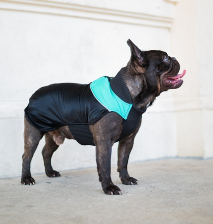 CHABA KUBRAK REGULOWANY MAGNIFIQUE `M` LUXURY GREEN