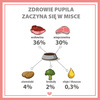 Karma mokra dla psa PUPIL Premium All Meat ADULT wołowina 800 g