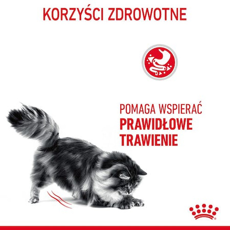 Royal Canin Digestive Care karma sucha dla kotów dorosłych, wspomagająca przebieg trawienia 4kg