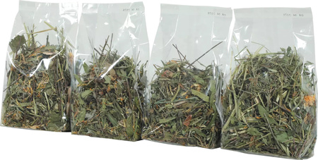 ZOLUX Mieszanka pobudzająca królik/kawia/szynszyla NUTRIMEAL MIX 100g