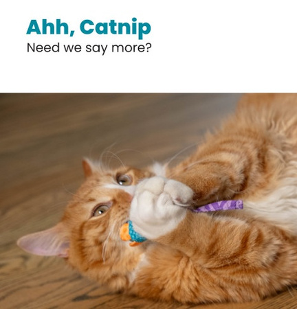 Petstages Myszki bliźniaczki z kocimiętką PS327