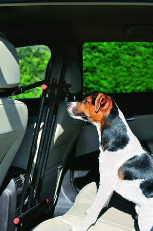 Zolux Krata ochronna centralna