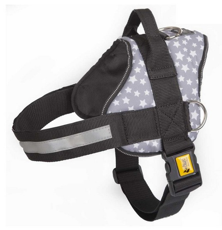 Dingo Szelki Strong America Alaska nr.4 (50-62cm)