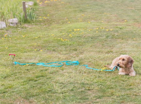 Trixie Wkręt do przywiązywania psa 40cm/9mm  [TX-2259]