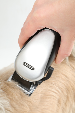 Zolux Maszynka do strzyżenia z zestawem akcesoriów